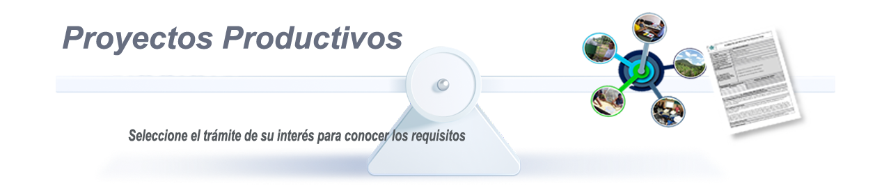 Descripción de la imagen